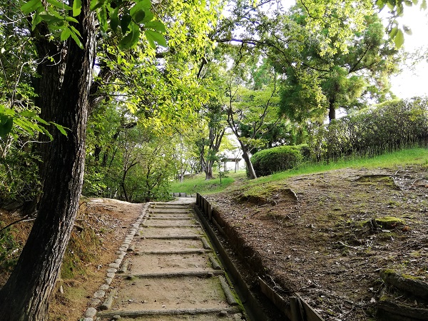 散歩道