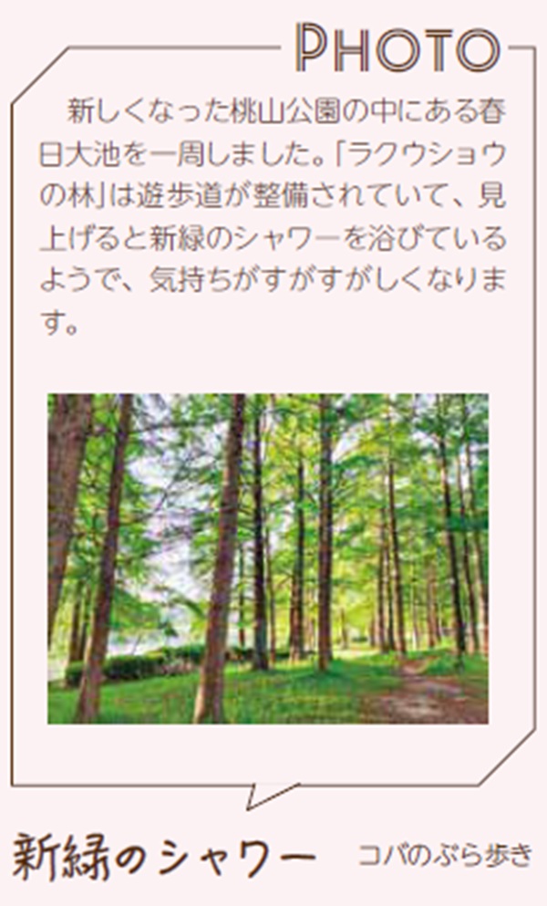 桃山公園