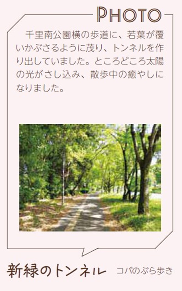千里南公園横（歩道）