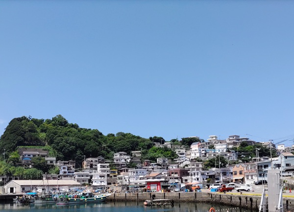 雑賀埼を望む